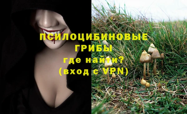 твердый Протвино
