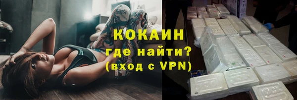 твердый Протвино