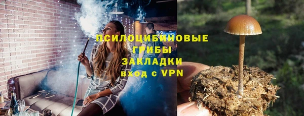СК Дрезна