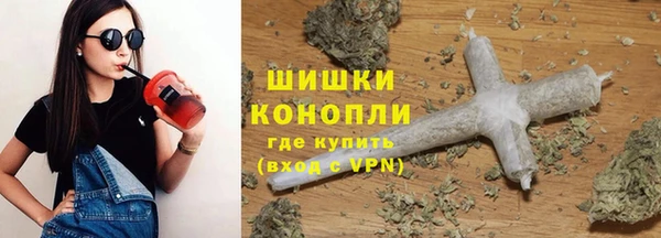 твердый Протвино