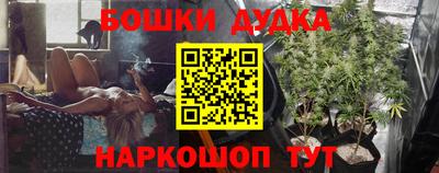 дурь Кингисепп