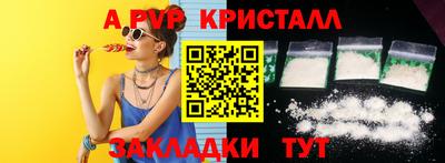 дурь Кингисепп