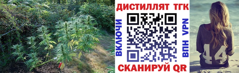 Дистиллят ТГК Wax  Советск 