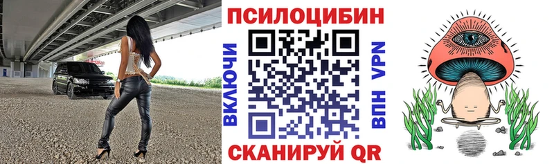 дарнет шоп Советск Галлюциногенные грибы Cubensis