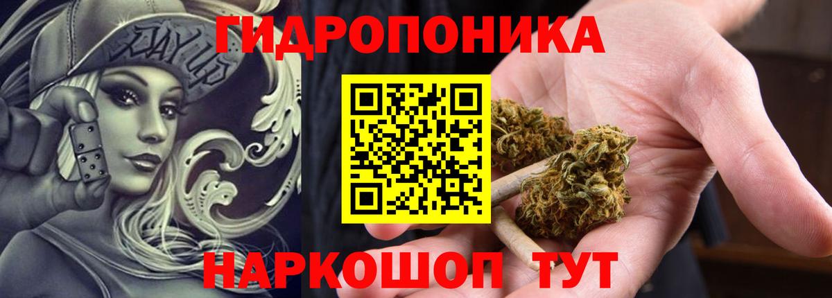 Каннабис MAZAR Советск